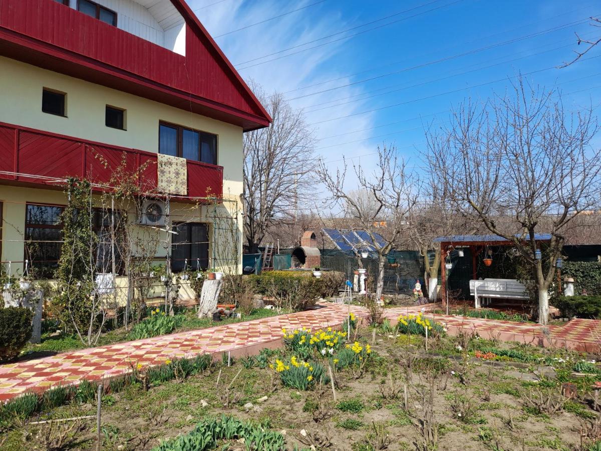 Pensiunea Anda Tulcea Exterior foto