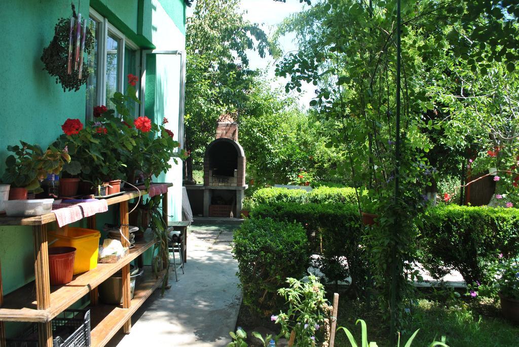 Pensiunea Anda Tulcea Exterior foto
